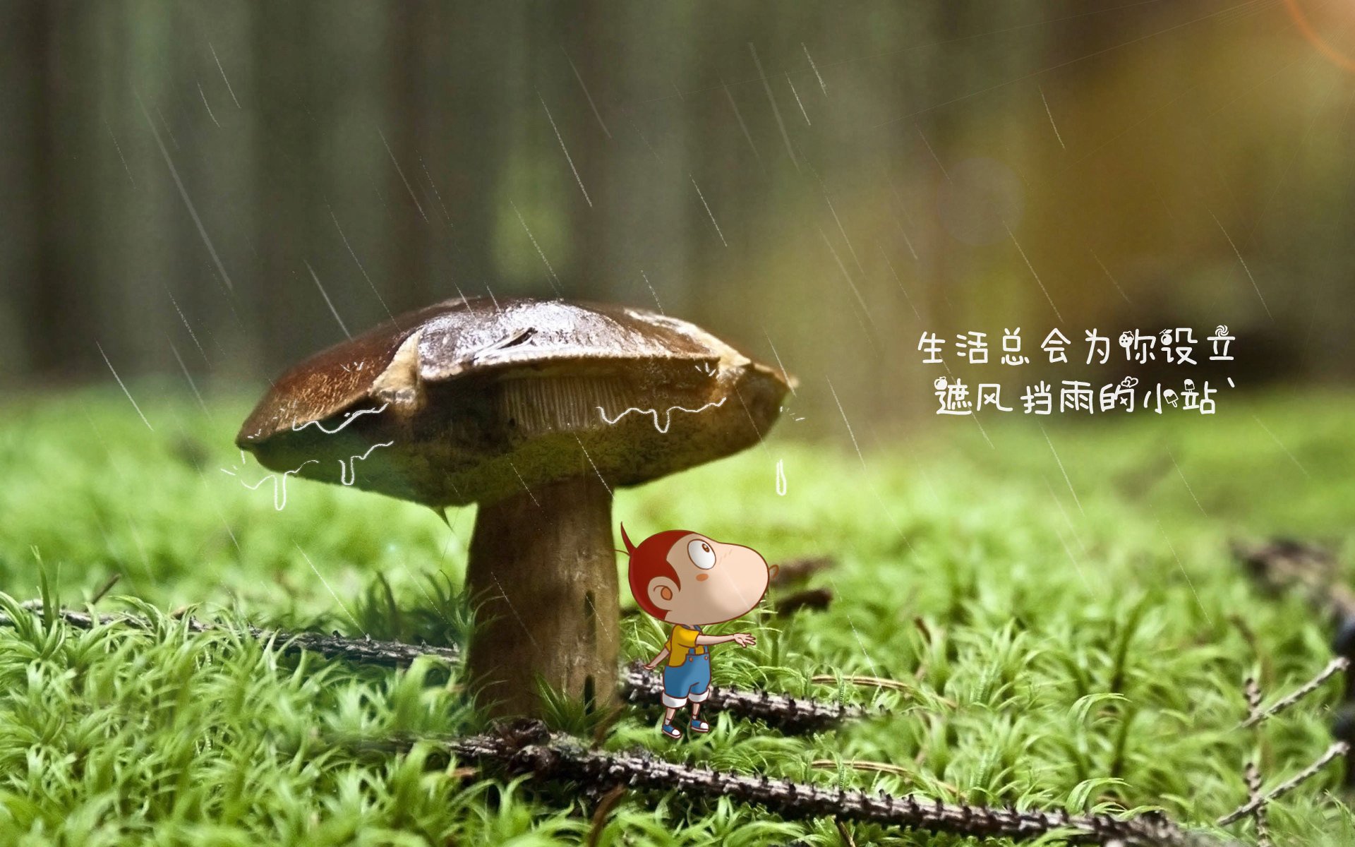 中超球队争顶成功率分析表，中超联赛如何争冠