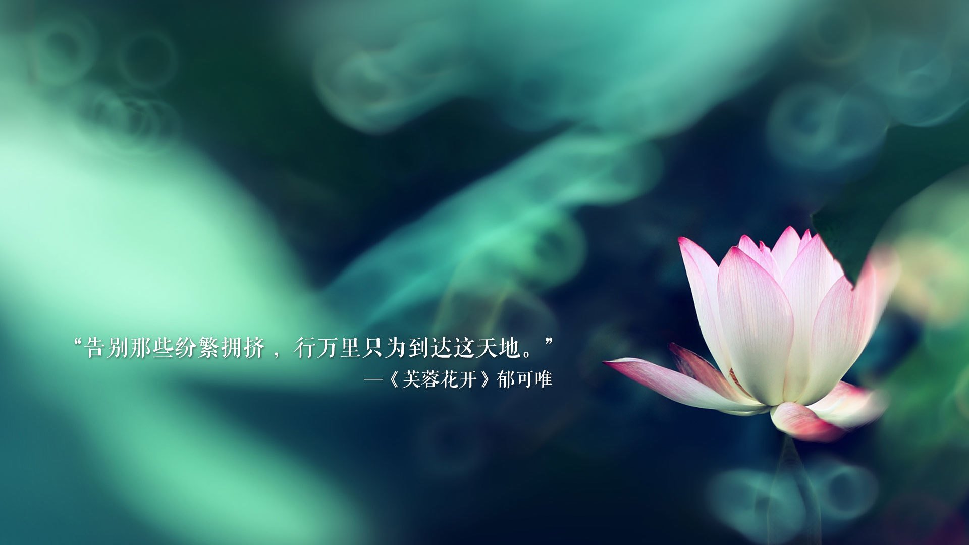 国际体育组织治理结构比较研究，国际体育组织治理结构比较研究论文