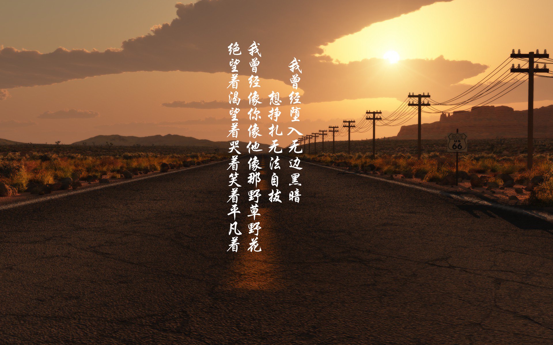 米兰体育官网-“SHO-CHAN Run 2025：香港跑者争夺荣耀！”