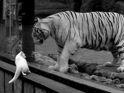 MILANSPORT入口-出发-转身-冲刺三段对比：美快中控，中稳后追