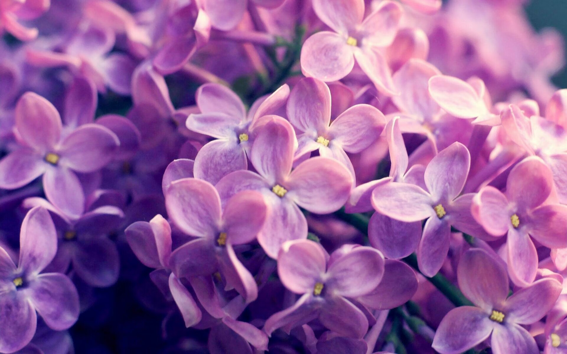 博卡球员抗压选位不佳,空档被放大,博卡知名球星