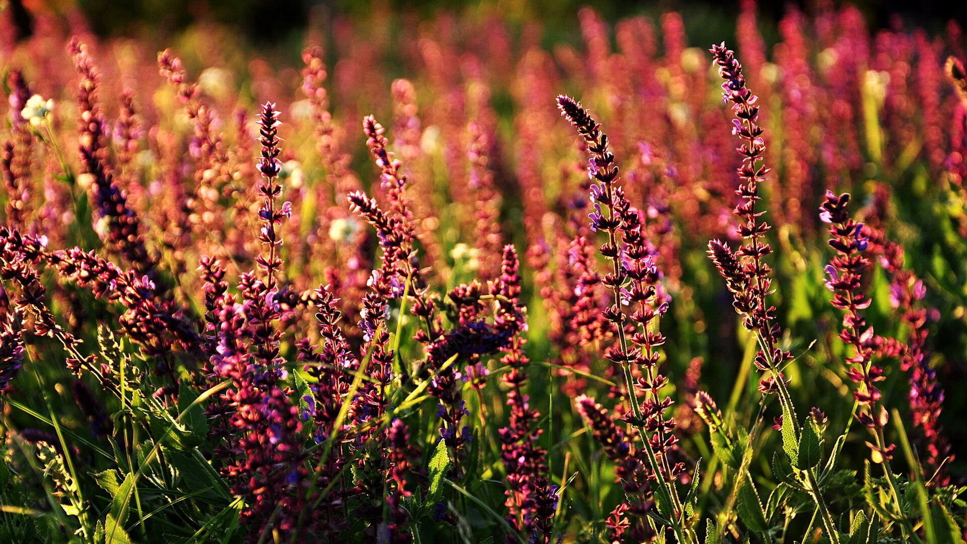 -场馆设施智能化管理水平提升，智能场馆如何实现信息化