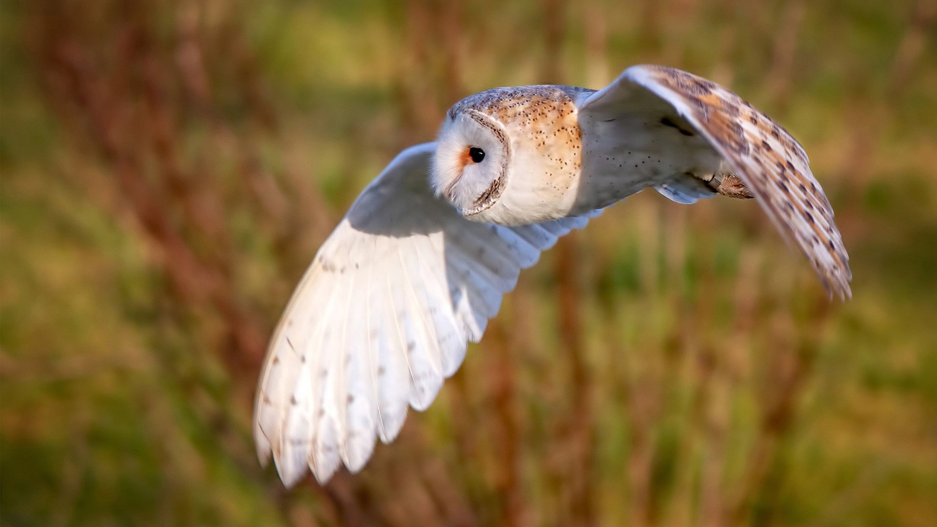 曼城持续构建三线均衡战术体系，曼城3_2曼联