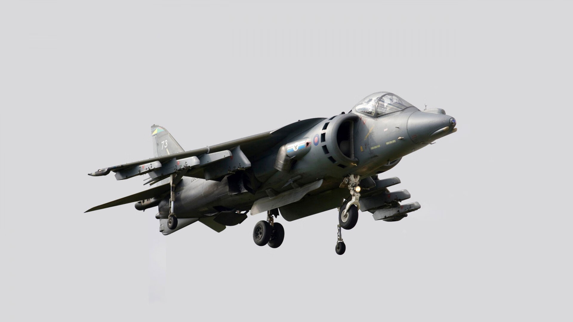 南非羚羊队:不惧任何挑战,每一次进攻与防守都充满力量与智慧