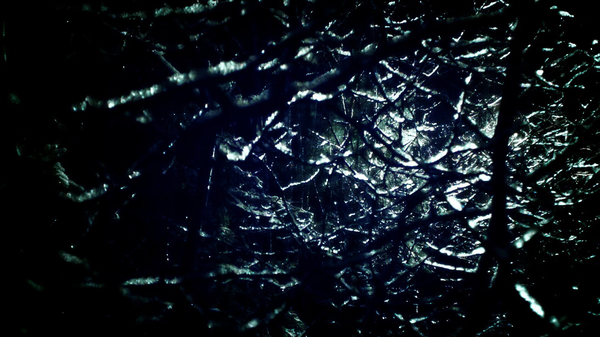 数字化青训体系实现流动管理,提升青少年发展效率,数字化体育训练