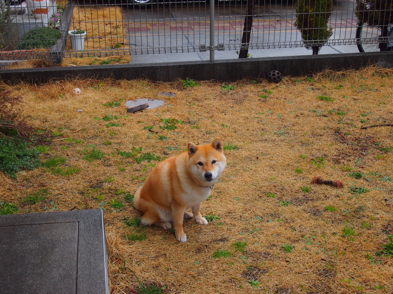 法甲联赛的创新营销案例,法甲联赛的特点