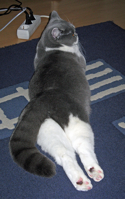 MILANSPORT入口-游出自信 艾哈迈德赛后满意表现