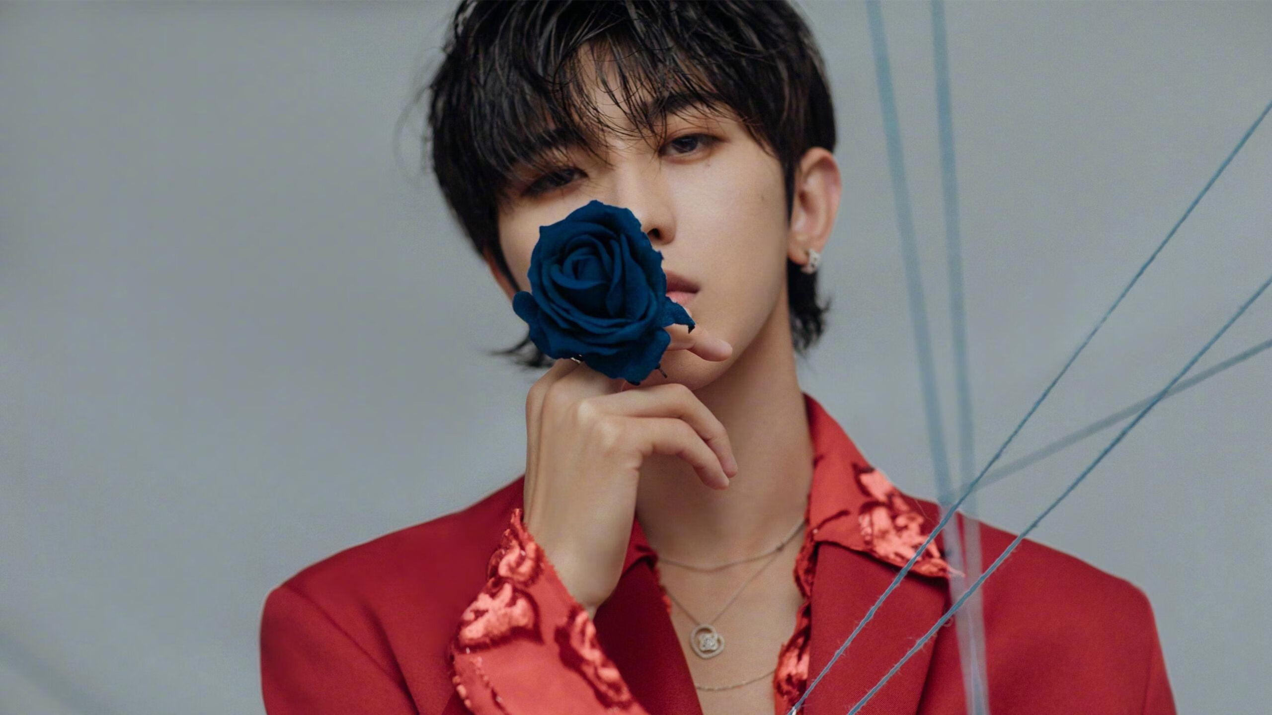 -美洲杯比赛的场馆环境保护，美洲杯比赛场地在哪里